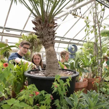 生物系学生在澳门葡京网赌送彩金的三个温室之一中研究植物